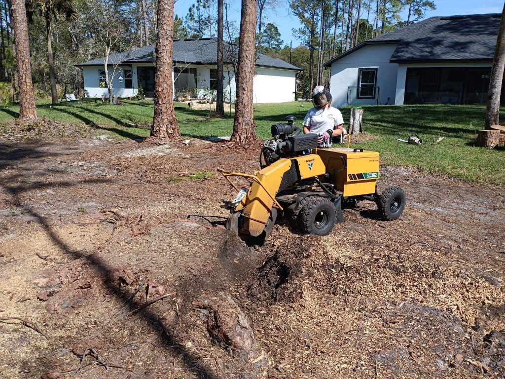 Tree Removal