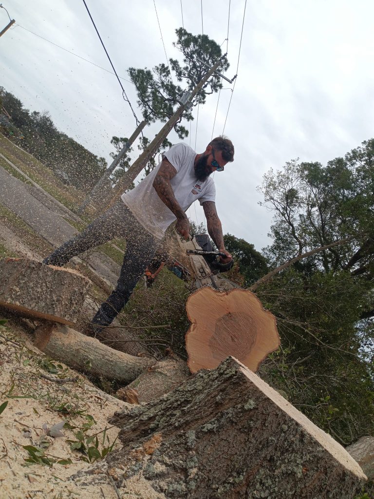 Man performing tree removal services.