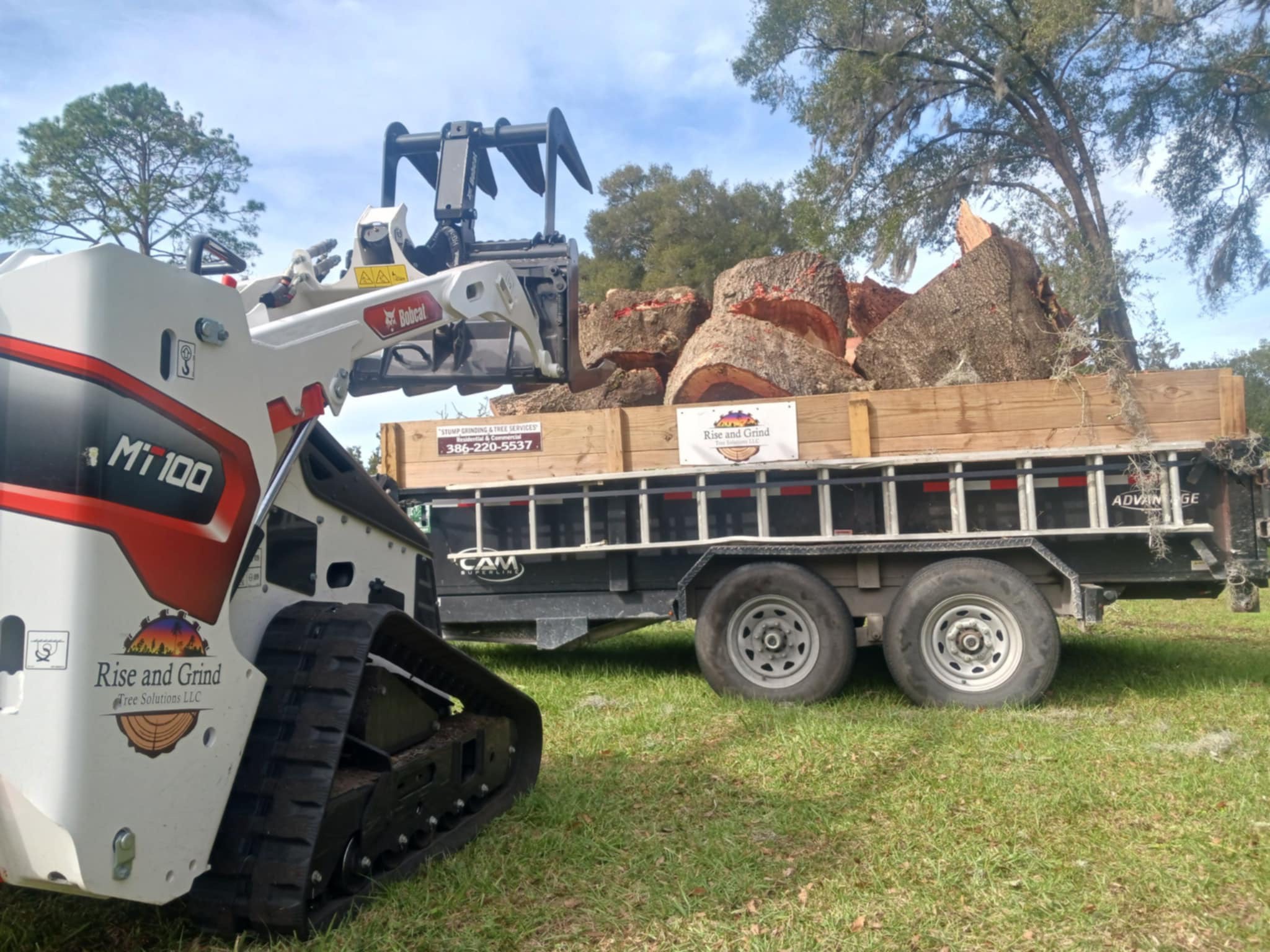 tree service in chuluota - tree removal chuluota