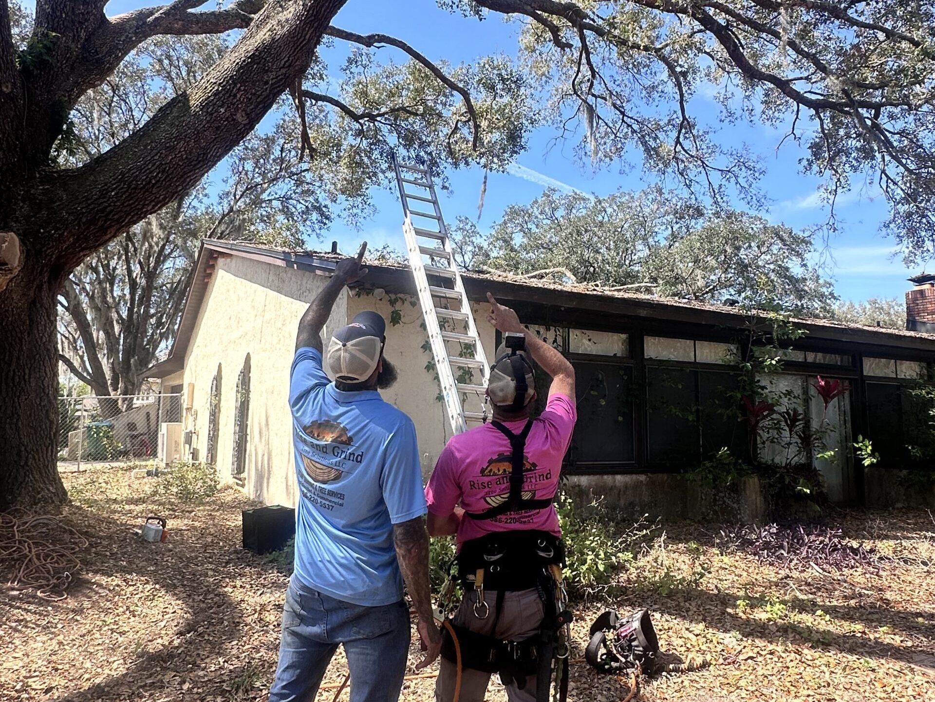 arborist in winter park - tree service in winter park